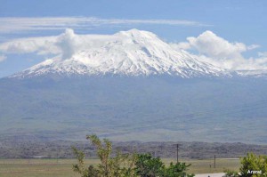 18 Ararat